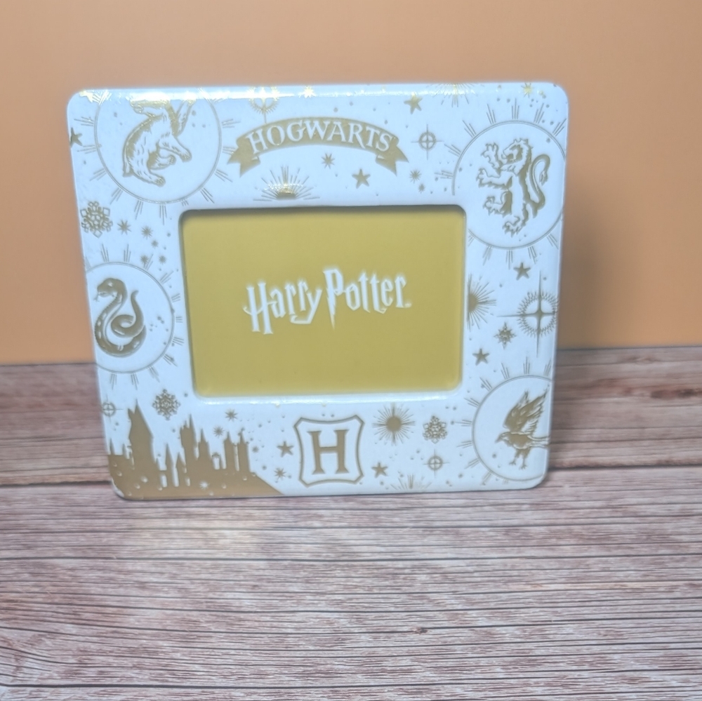 Warner Bros Gold and White Picture Frame with Magical Accents